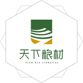 鸡巴插下面网站
